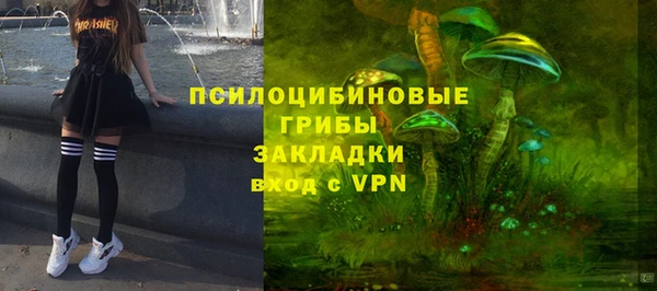гидра Белоозёрский