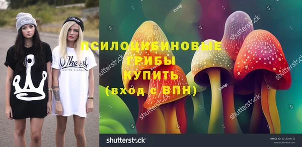 гидра Белоозёрский