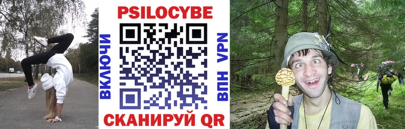 kraken как зайти  Сухой Лог  дарк нет наркотические препараты  Псилоцибиновые грибы GOLDEN TEACHER 